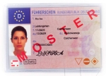 Schutzhülle, Personalausweis, Führerschein